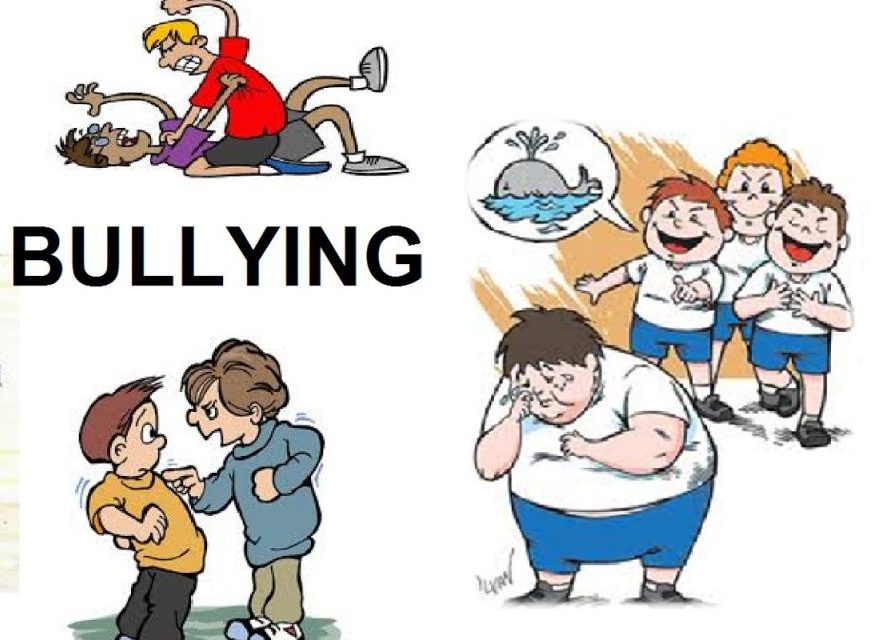 parabatikotita newn 1a